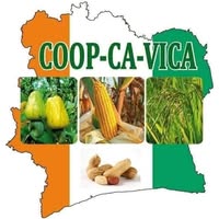 coopcavica